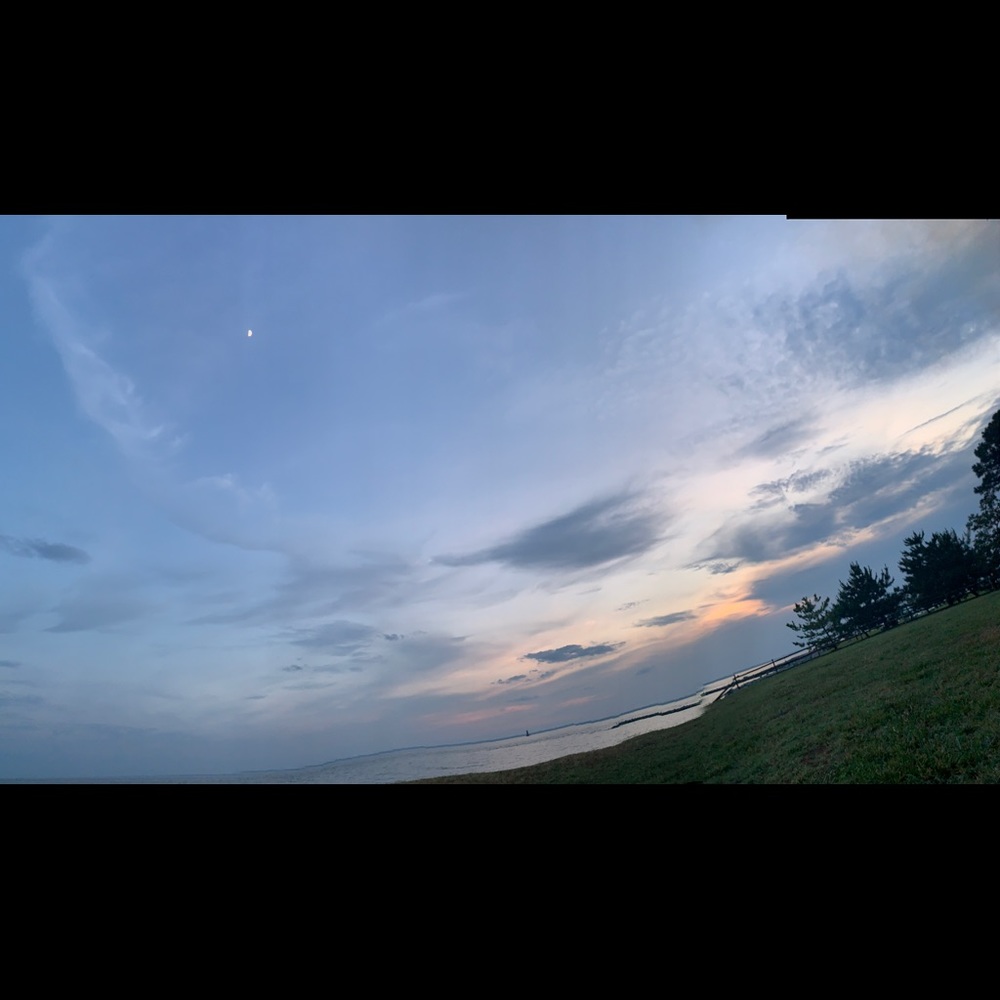 Meet your Posher, Maddie